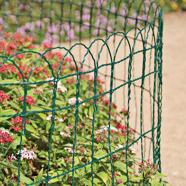 Border Fences